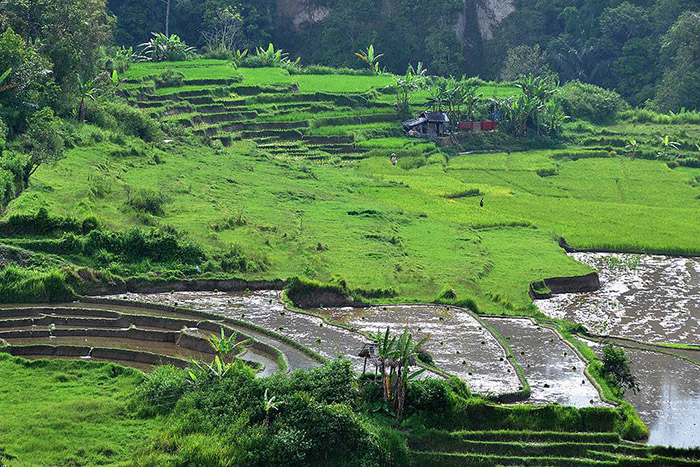 Vé máy bay EVA Air đi Padang giá rẻ